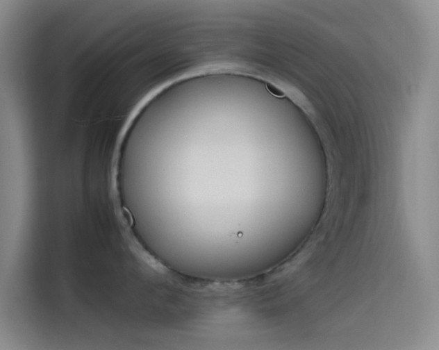 X0000114060912200910131143