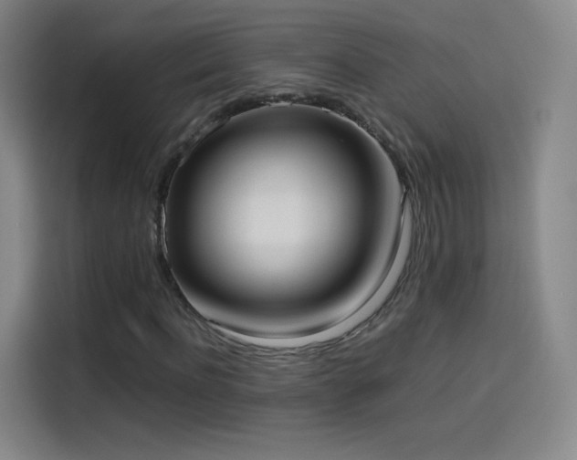 X0000114060916200910131142