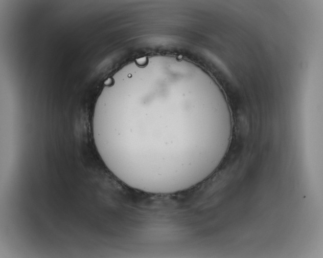 X0000114060918200910131142