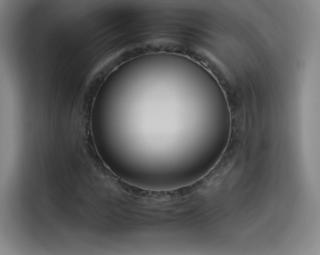 X0000114060919200910131142