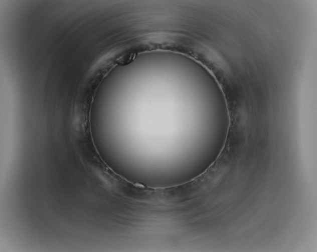 X0000114060920200910131142