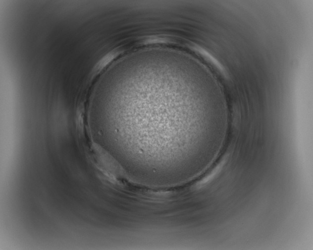 X0000114060921200910131142