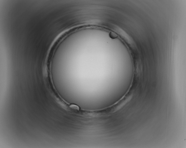 X0000114060924200910131142