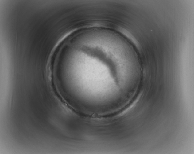 X0000114060925200910131142