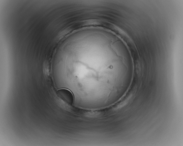 X0000114060929200910131142