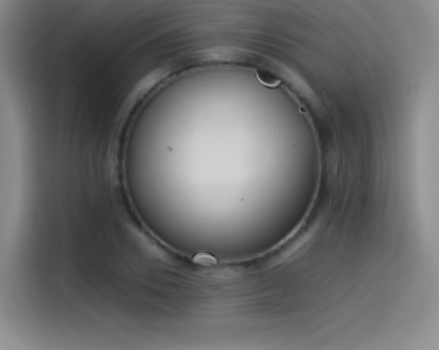 X0000114060930200910131142