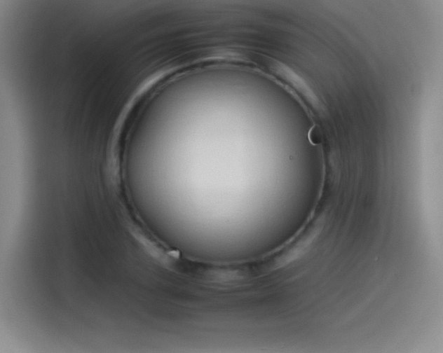 X0000114060931200910131142