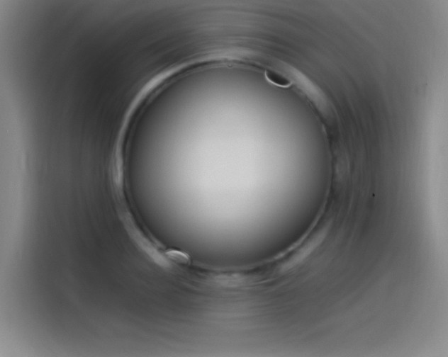 X0000114060940200910131143