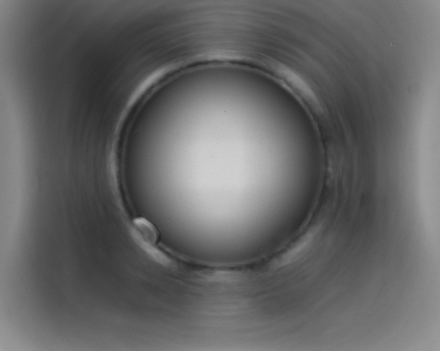 X0000114060942200910131143