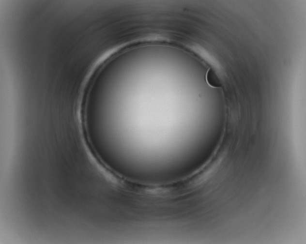 X0000114060943200910131143