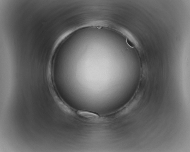 X0000114060952200910131143