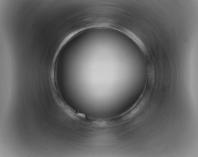 X0000114060956200910131143