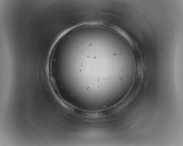 X0000114060959200910131143