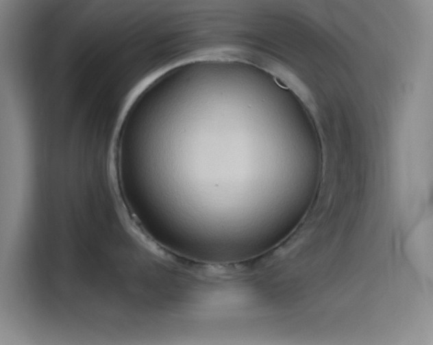 X0000114060960200910131143