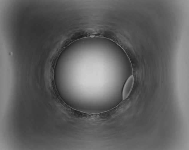 X0000114060961200910131142