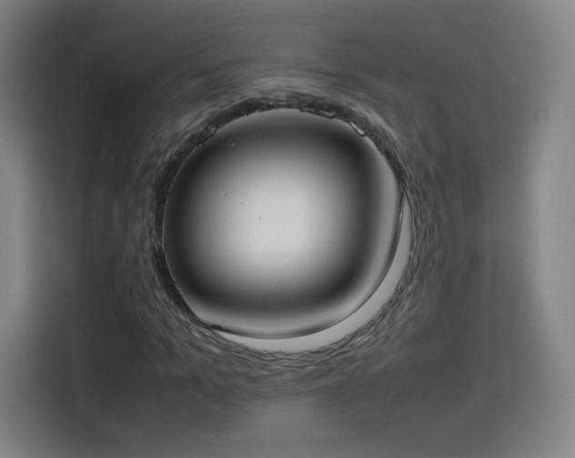 X0000114060965200910131142