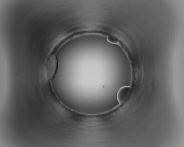 X0000114060973200910131142