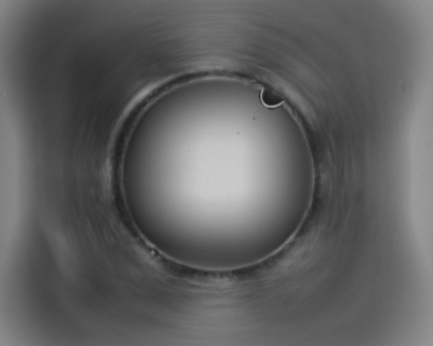 X0000114060975200910131142