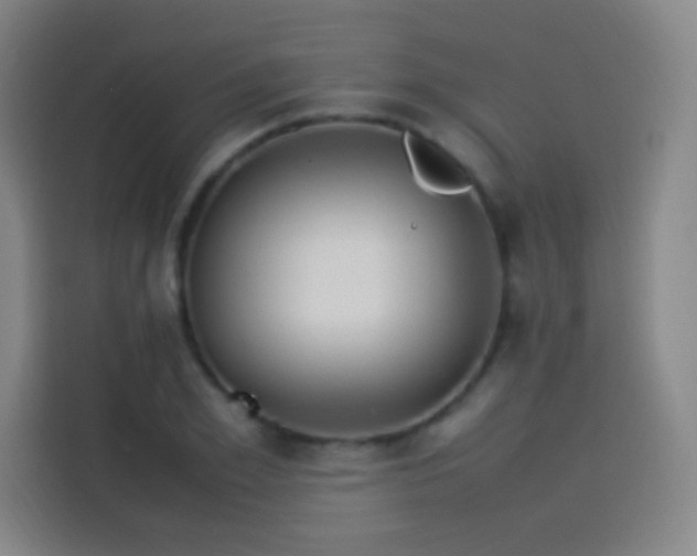 X0000114060981200910131142