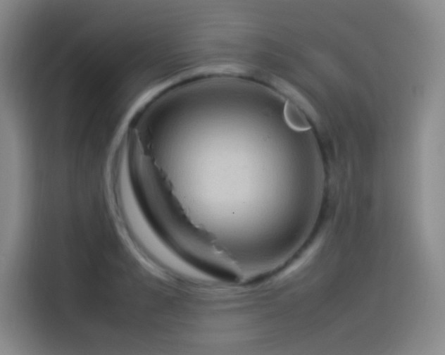 X0000114060989200910131142