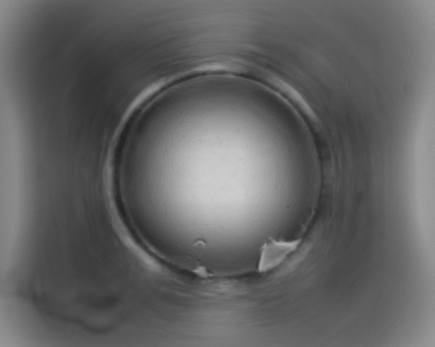 X0000114060991200910131142