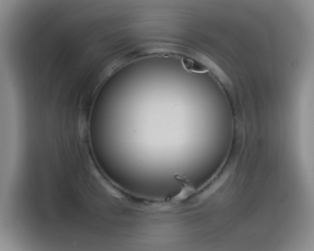 X0000114060993200910131142