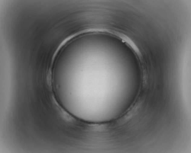 X0000114060996200910131142