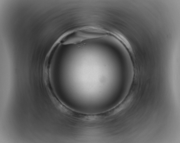 X0000114061000200910131142