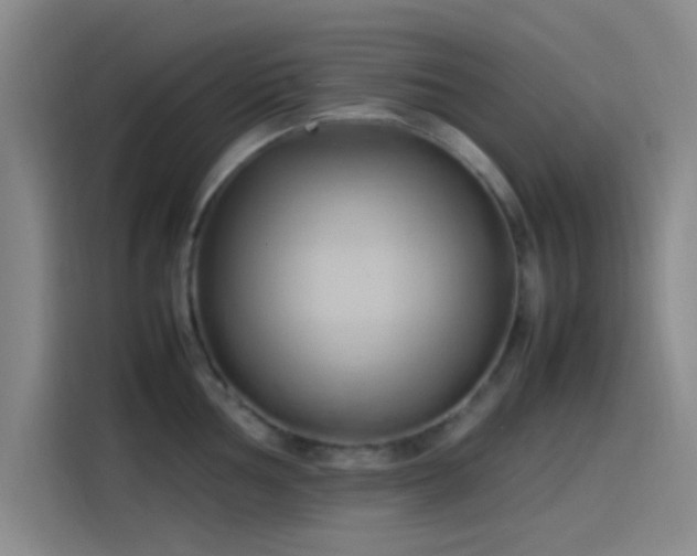 X0000114061002200910131142