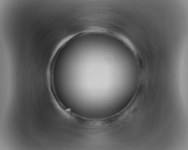 X0000114061003200910131142