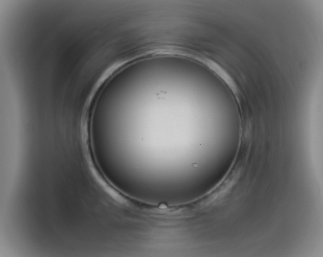 X0000114061005200910131142