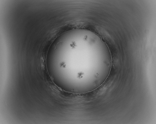 X0000114061010200910131141