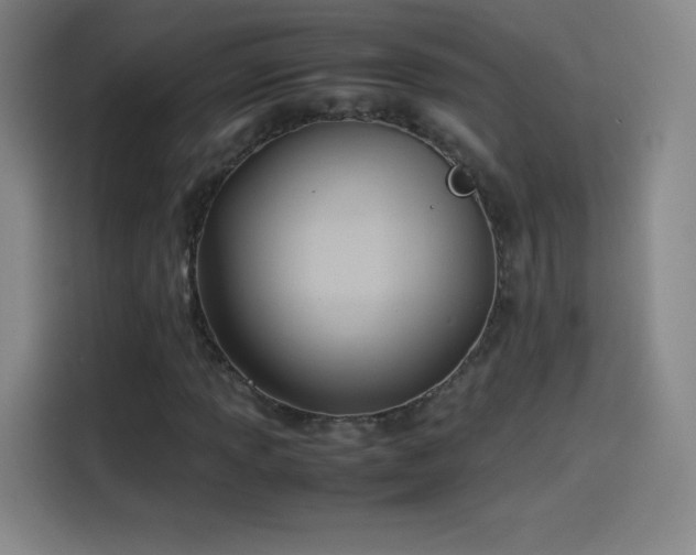 X0000114061013200910131141