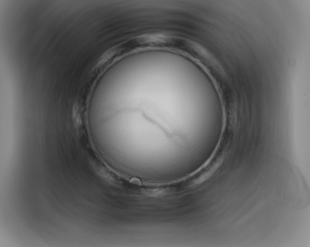 X0000114061017200910131141