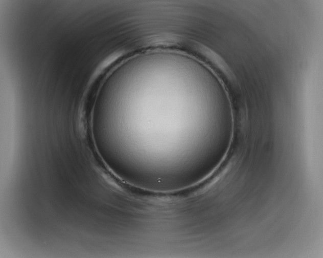 X0000114061018200910131141