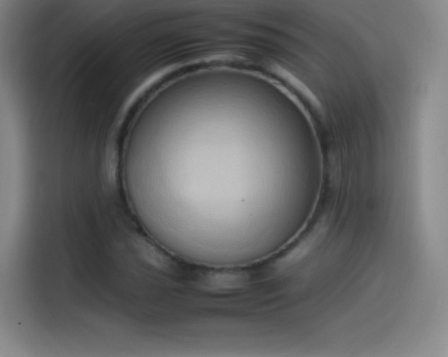 X0000114061021200910131141