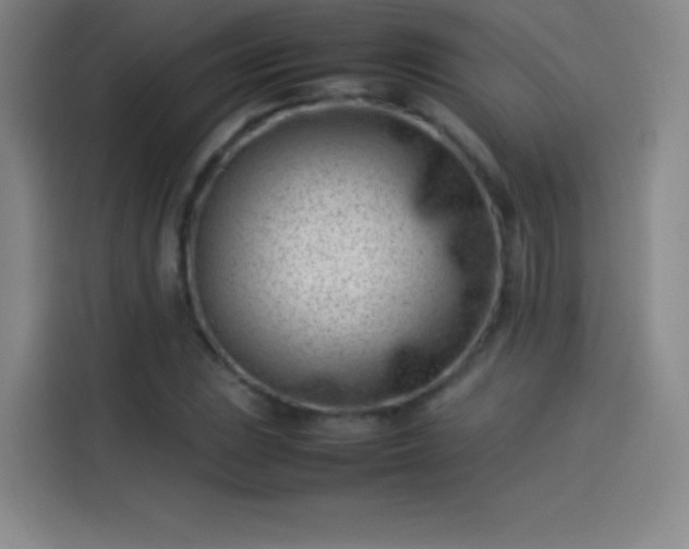 X0000114061023200910131141