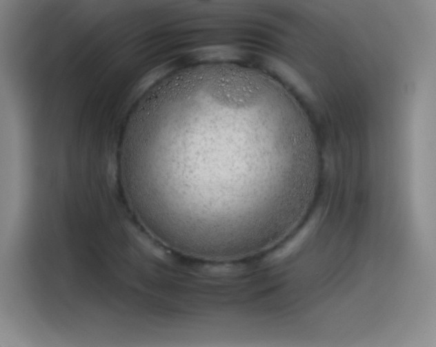 X0000114061025200910131141