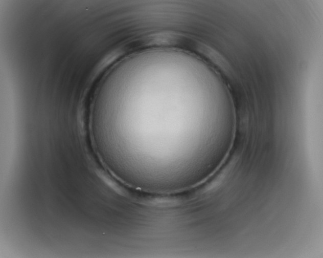 X0000114061026200910131141