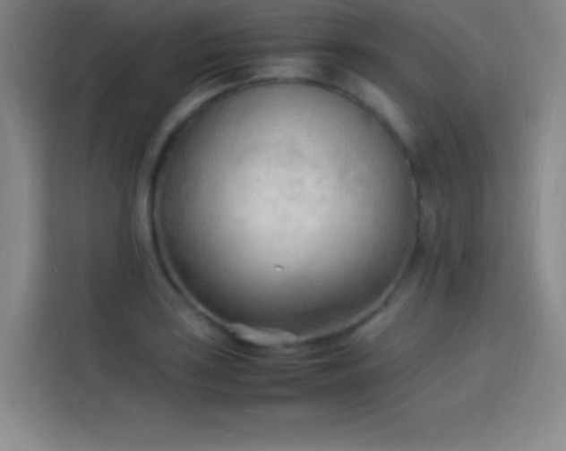 X0000114061035200910131141