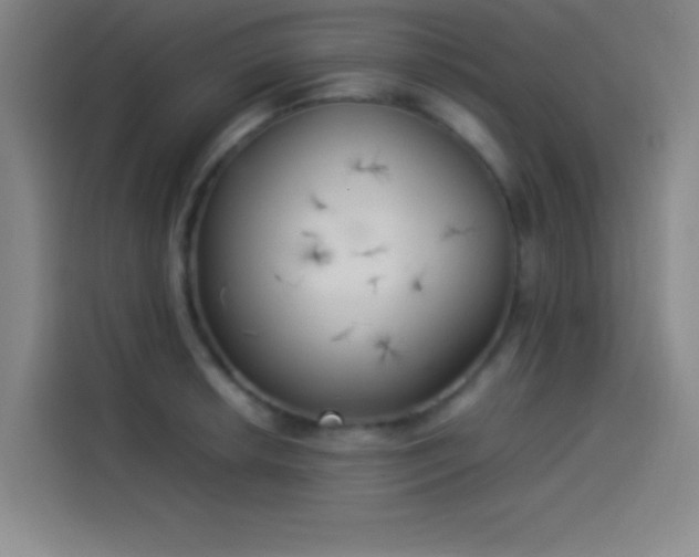 X0000114061042200910131141