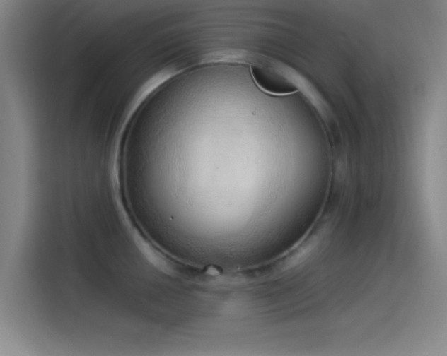 X0000114061050200910131142