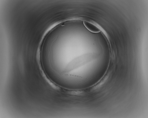 X0000114061053200910131142