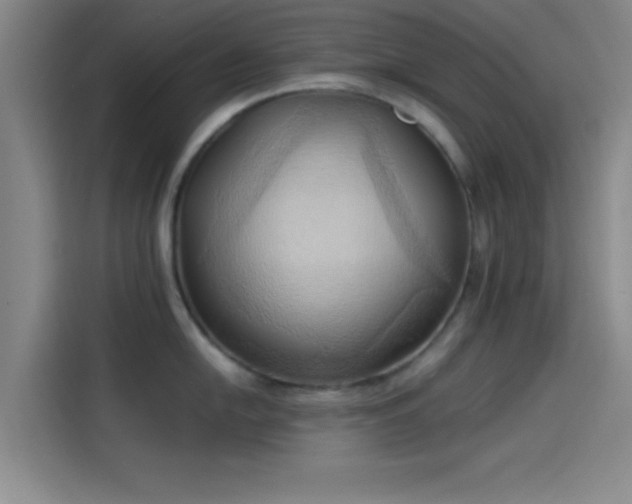 X0000114061054200910131142