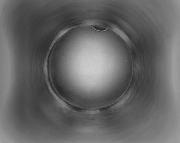 X0000114061055200910131142