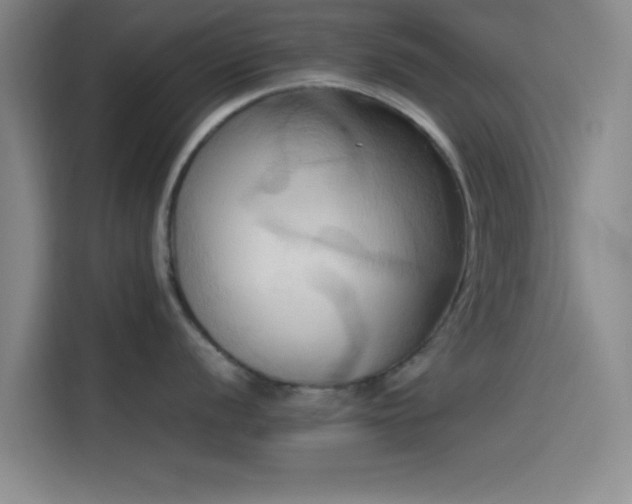 X0000114061056200910131142