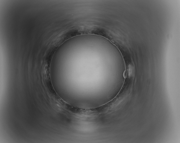 X0000114061059200910131141