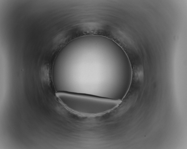 X0000114061060200910131141