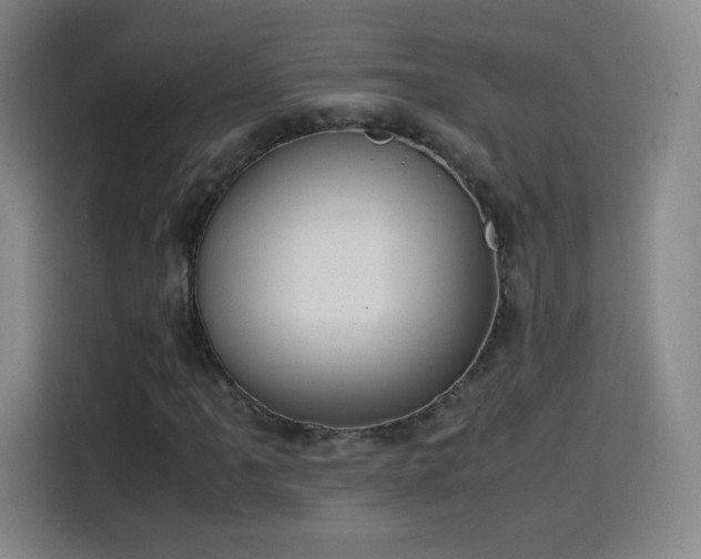 X0000114061061200910131141