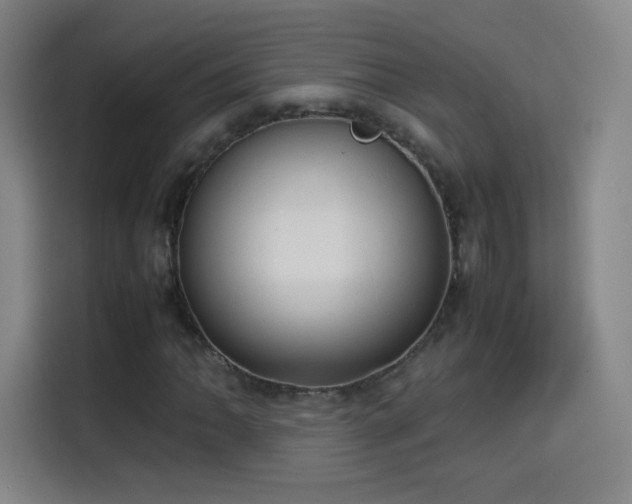 X0000114061062200910131141